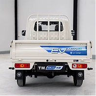 ดานหลงFOTON ETM IBLUE